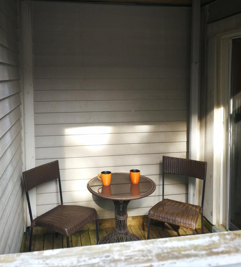 Rustic Mountainside Chalet 蓝山 外观 照片